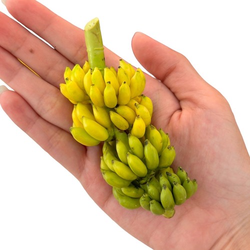 Mazzo banane artificiali - di,