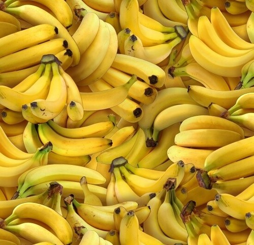 Tessuto food festival banana - food,